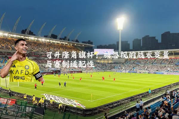 可升降角旗杆：被忽视的战术变量与赛制适配性